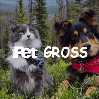 Charming forest scene with a cat and dog wearing red and gray bandanas, overlaid with Pet GROSS text, showcasing an AI-optimized pet-friendly ad template designed for engaging campaigns on Instagram reels and Facebook ads.