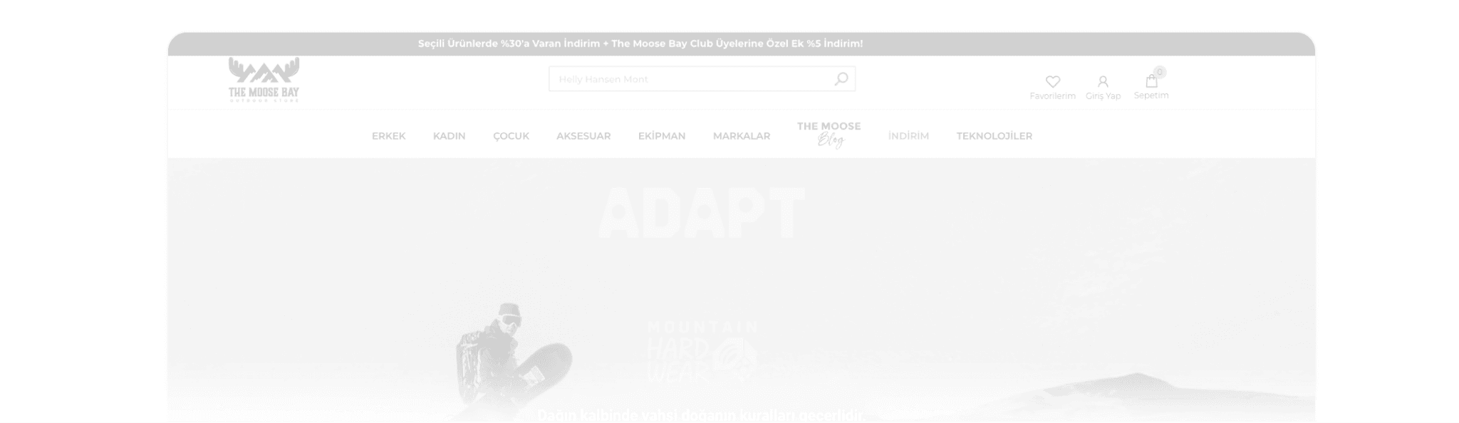 Moose Bay background