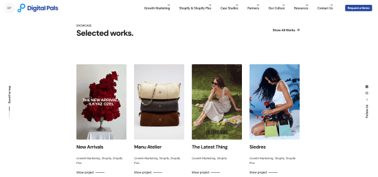 Homepage screenshot of Digital Pals digital performance marketing agency website